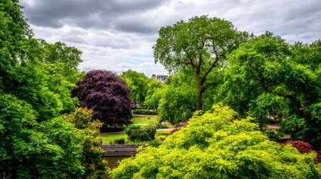 A high angle view of a beautiful public park filled with lush green trees and a striking purple leaf tree under a dramatic overcast sky. A serene natural scene.の素材
