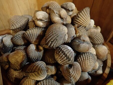 boiled cocklesの写真素材