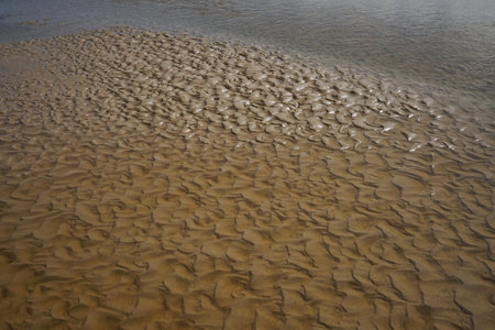 Wave Sand beach in the morning with shadow to show texture of delicate sand, Phuket Island