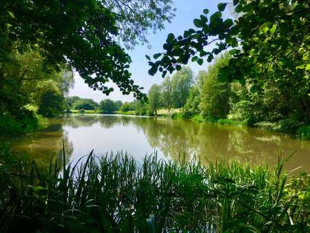 View Of Lake From Within Trees On Bright Sunny Dayの写真素材