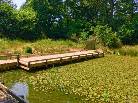 View Of Small Natural Pond With Deckingの写真素材