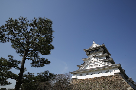 Japanese kumamoto castleのeditorial素材