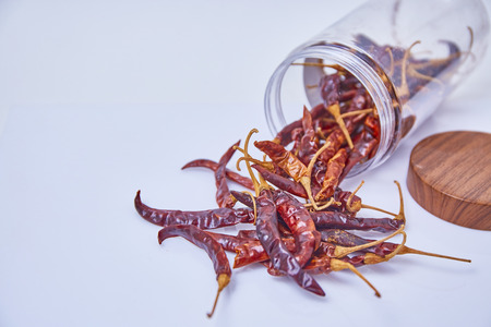 Bird's eye chili on white backgroundの写真素材