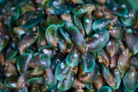 Asian green Mussels backgroundの写真素材