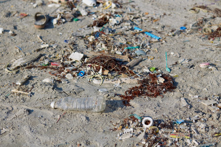 Garbage pollution on the beach