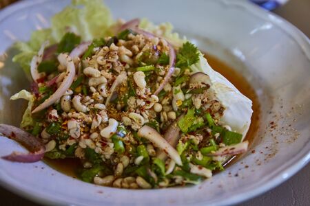 Ant eggs spicy salad with herbsの写真素材