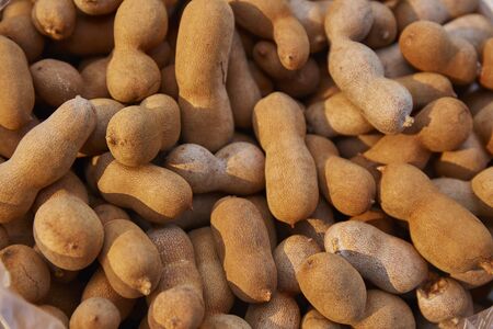Sweet tamarind backgroundの写真素材