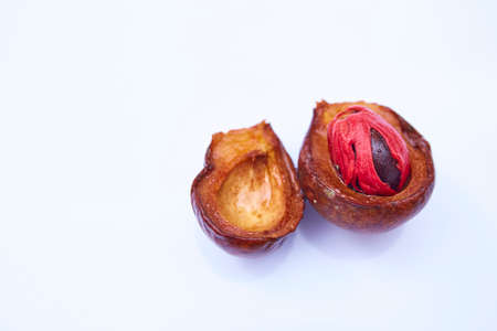 Fresh Nutmeg on white backgroundの写真素材