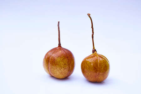 Fresh Nutmeg on white backgroundの写真素材