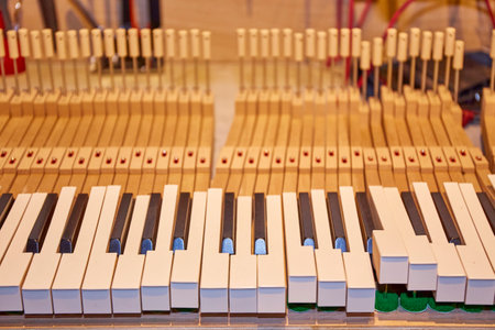 Detail inside of the pianoの写真素材