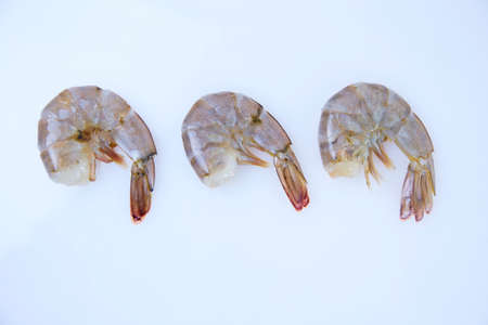 Fresh tiger prawn set on white backgroundの写真素材