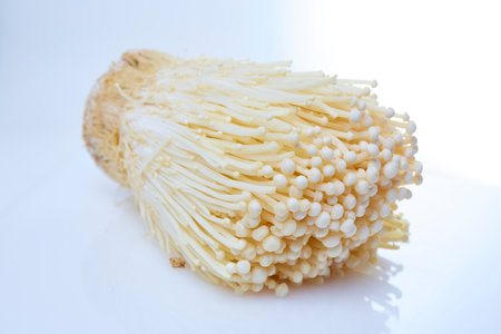 Fresh Golden needle mushroom on white backgroundの写真素材