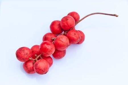 Red Burmese grape set on white background