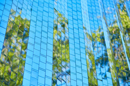 Abstract tree environment and sky reflection on mirror backgroundの写真素材