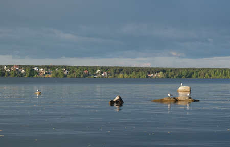 white seagulls on the lake sit on the rocksの写真素材