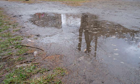 reflection of a tree and a building in an autumn puddleの写真素材