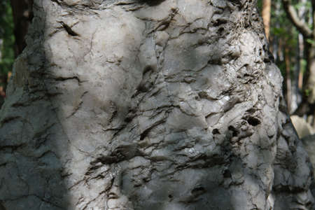 white mineral in nature. stone with irregularity and hole in natural conditions. albit. marbleの写真素材