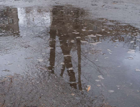 reflection of a tree and a building in an autumn puddleの写真素材