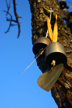 A Small Bellの写真素材