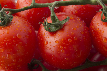 Fresh Ripe Tomatoes on the Vineの写真素材