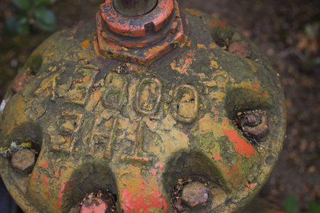 An old, dirty orange fire hydrant cap の写真素材