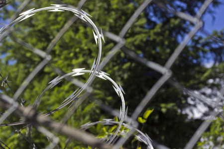 Curls of razor wire behind a chain link fence の写真素材