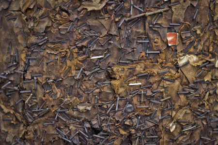 A telephone pole where many bills have been posted over the years の写真素材