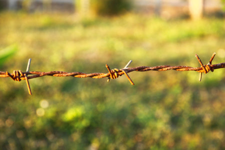 Barbed wire