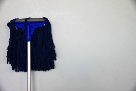 Blue mopの写真素材