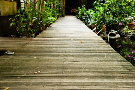 Wood bridgeの写真素材