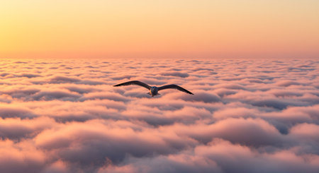 Seagull flying above the clouds at sunset, 3d renderの素材