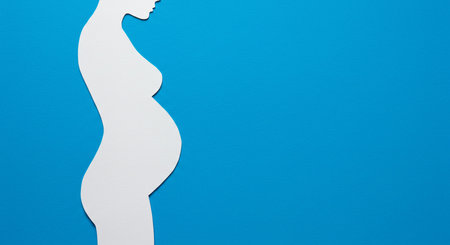 Pregnant woman silhouette on blue background with copy space. Top viewの素材