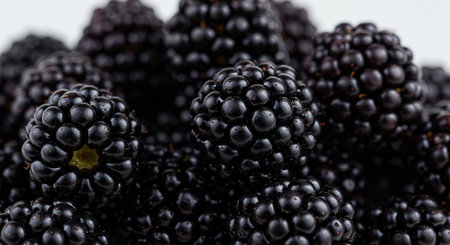 Blackberries on a white acrylic background. Macro shot. Selective focus.の素材
