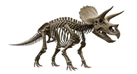 3D digital render of a dinosaur t-rex isolated on white backgroundの素材