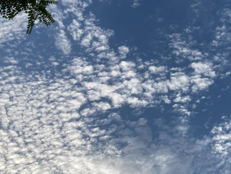 Clouds in the Sky