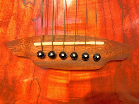 Musical instrument - a wooden bass guitar on a red background.