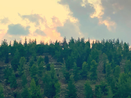 Sunset on the top of the mountain with coniferous forest