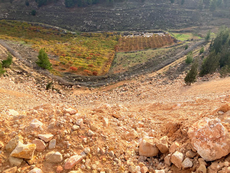 Mountain landscape in a valley in Israel.の写真素材
