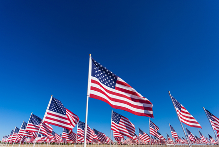 A displayy of American flags with a sky blue backgroundの写真素材