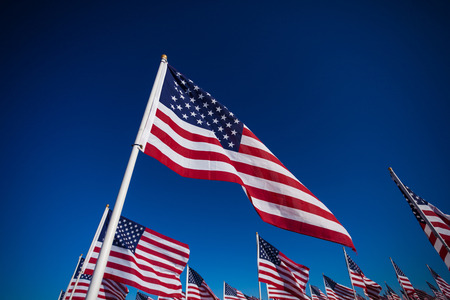 A displayy of American flags with a sky blue backgroundの写真素材