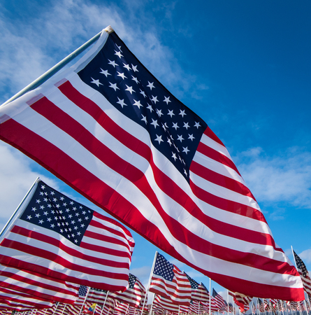 A field of hundreds of American flags.  Commemorating veteran's day, memorial day or 9/11.の写真素材