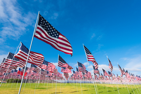 A field of hundreds of American flags.  Commemorating veteran's day, memorial day or 9/11.の写真素材
