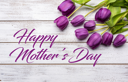 A group of purple tulips on a white background with copy space with mothers day greetingの写真素材