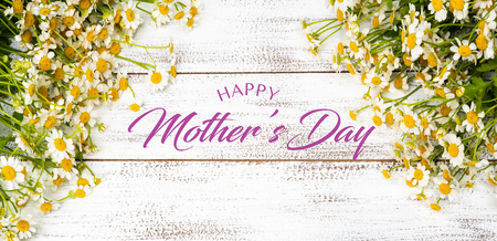 Miniature daisies or bellium minutum on a white plank background with Mother's Day greetingの写真素材
