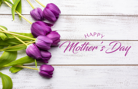 A group of purple tulips on a white background with copy space with mothers day greetingの写真素材
