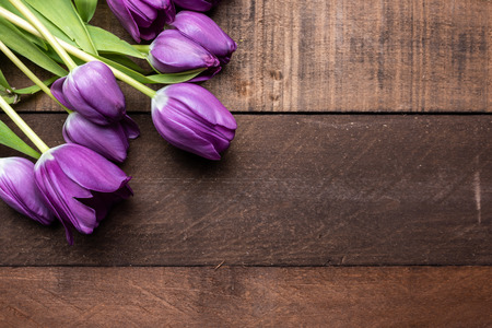 A group of lavender or purple tulips on a brown background with copy spaceの写真素材