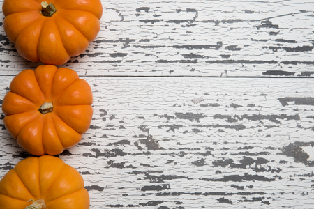 A row of mini orange pumpkins on a white wooden plank background with copy spaceの写真素材