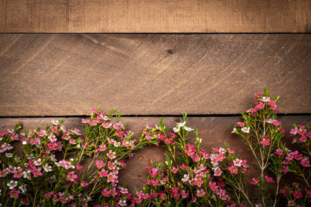 Tiny pink flowers on a wood plank backgroud with copy spaceの写真素材