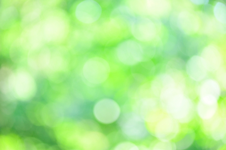 ALush, Green, natural Bokeh background on a sunny day. Backgroundの写真素材