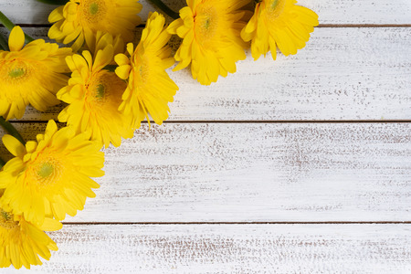 Yellow Daisies or mums on a white plank background with copy spaceの写真素材